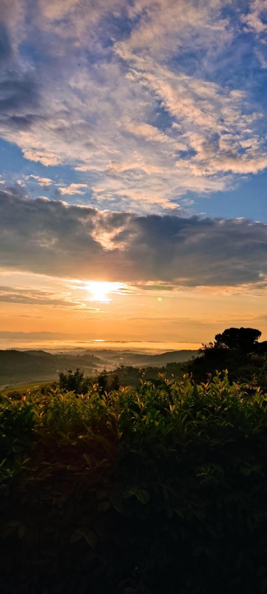 Villa Poliziana San Benedetto Montepulciano Stazione エクステリア 写真
