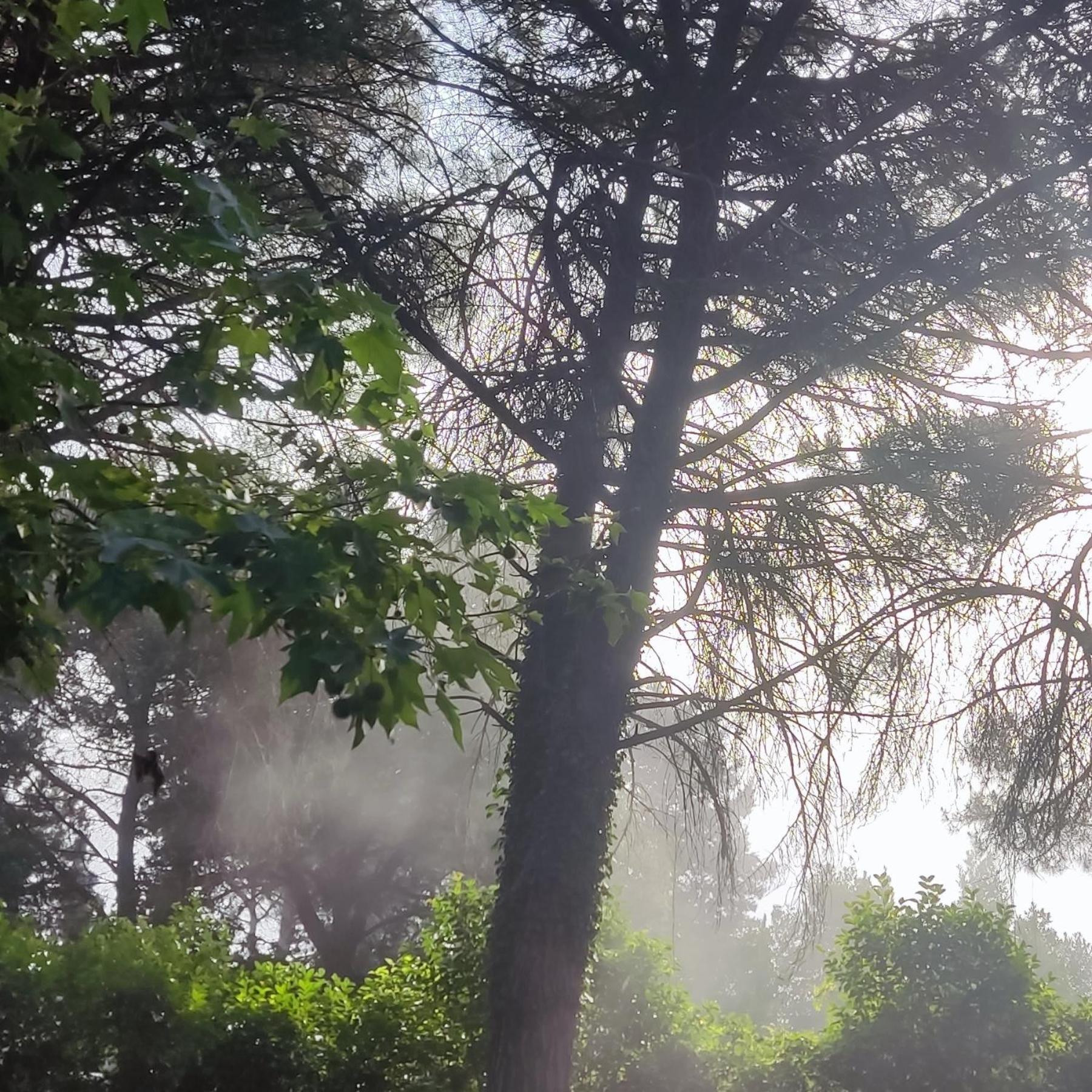 Villa Poliziana San Benedetto Montepulciano Stazione エクステリア 写真
